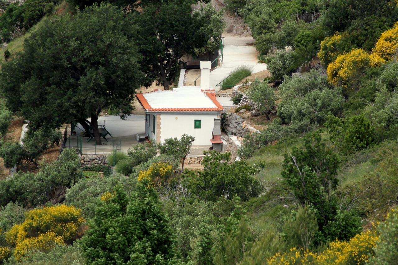 Villa " Davorka" Podgora Buitenkant foto