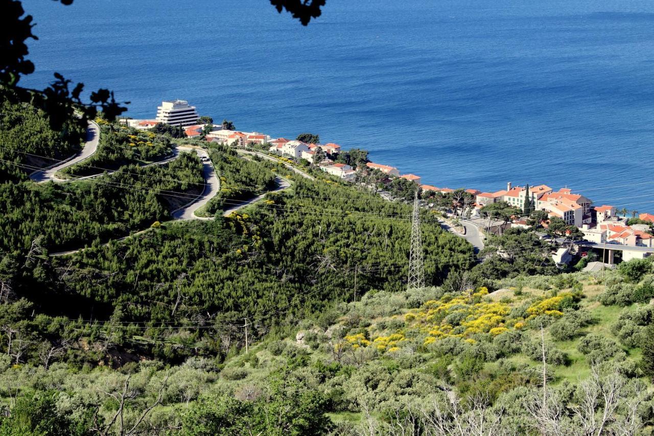 Villa " Davorka" Podgora Buitenkant foto