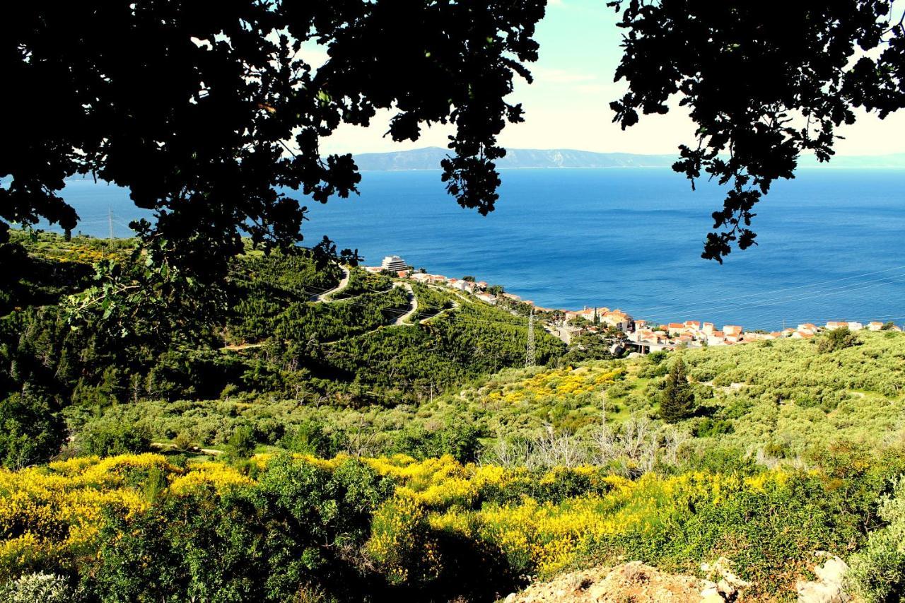 Villa " Davorka" Podgora Buitenkant foto