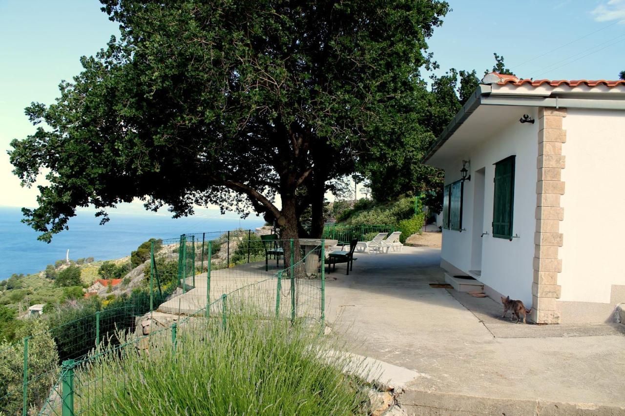 Villa " Davorka" Podgora Buitenkant foto