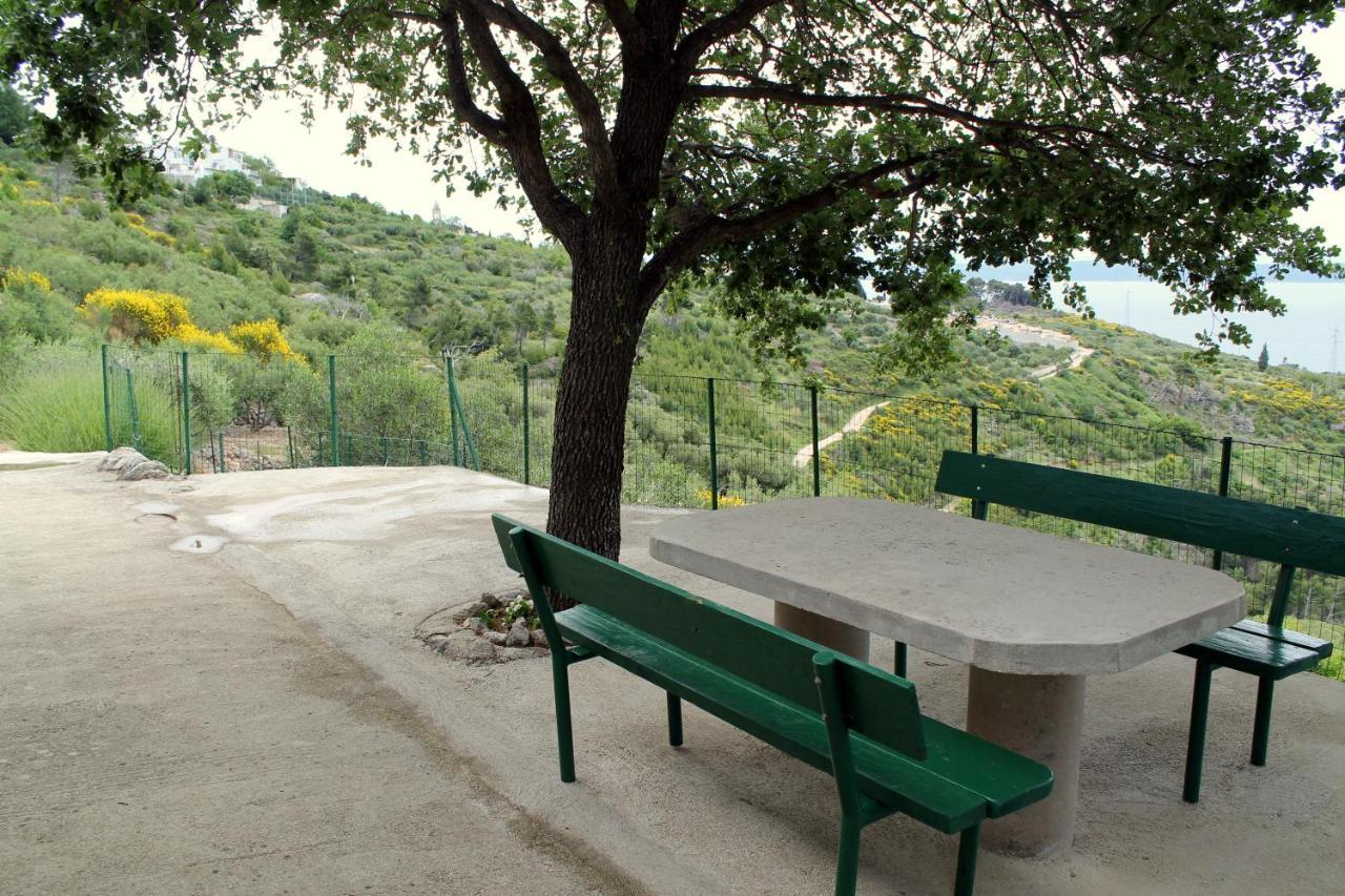 Villa " Davorka" Podgora Buitenkant foto
