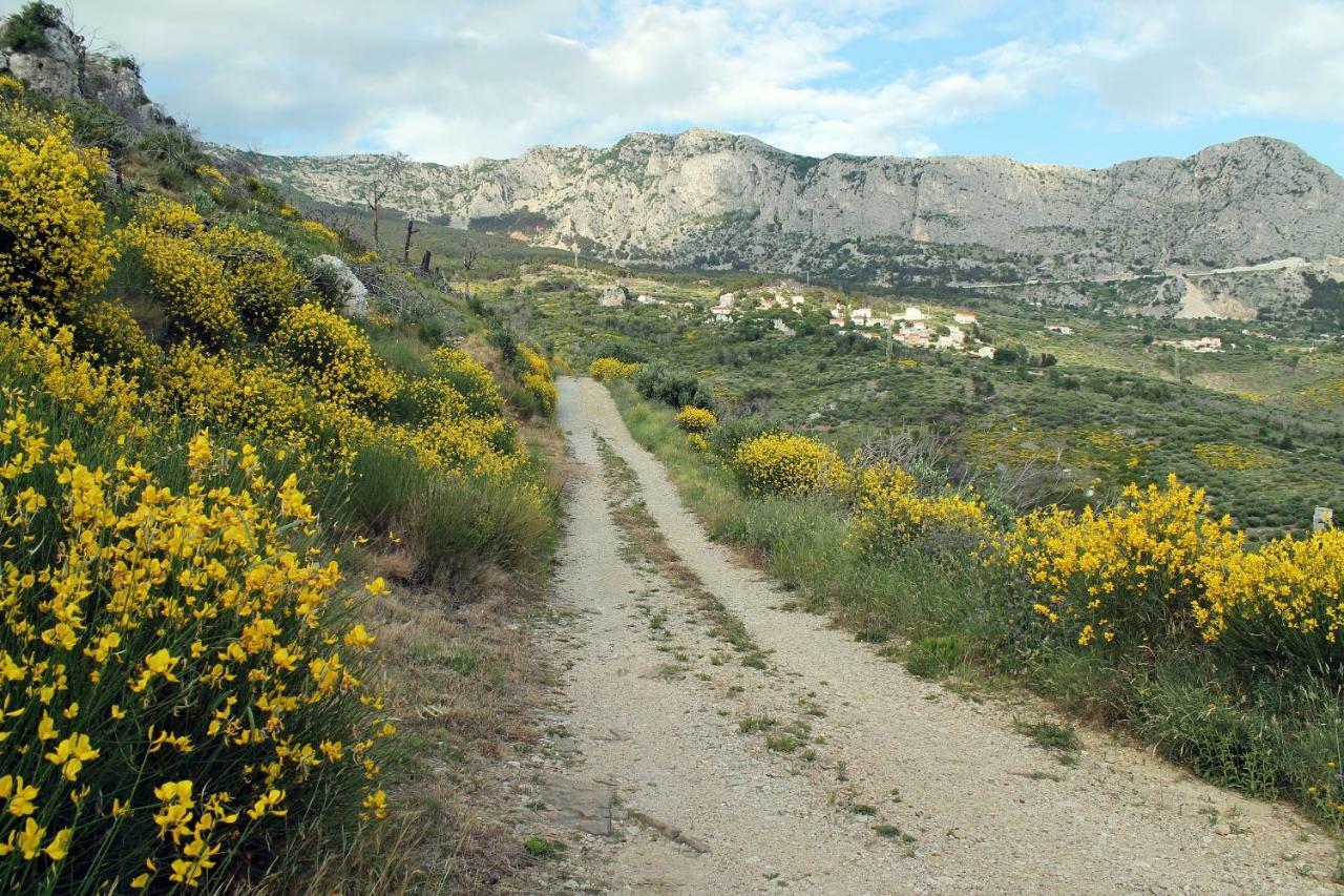 Villa " Davorka" Podgora Buitenkant foto