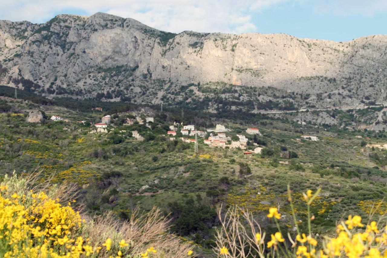 Villa " Davorka" Podgora Buitenkant foto