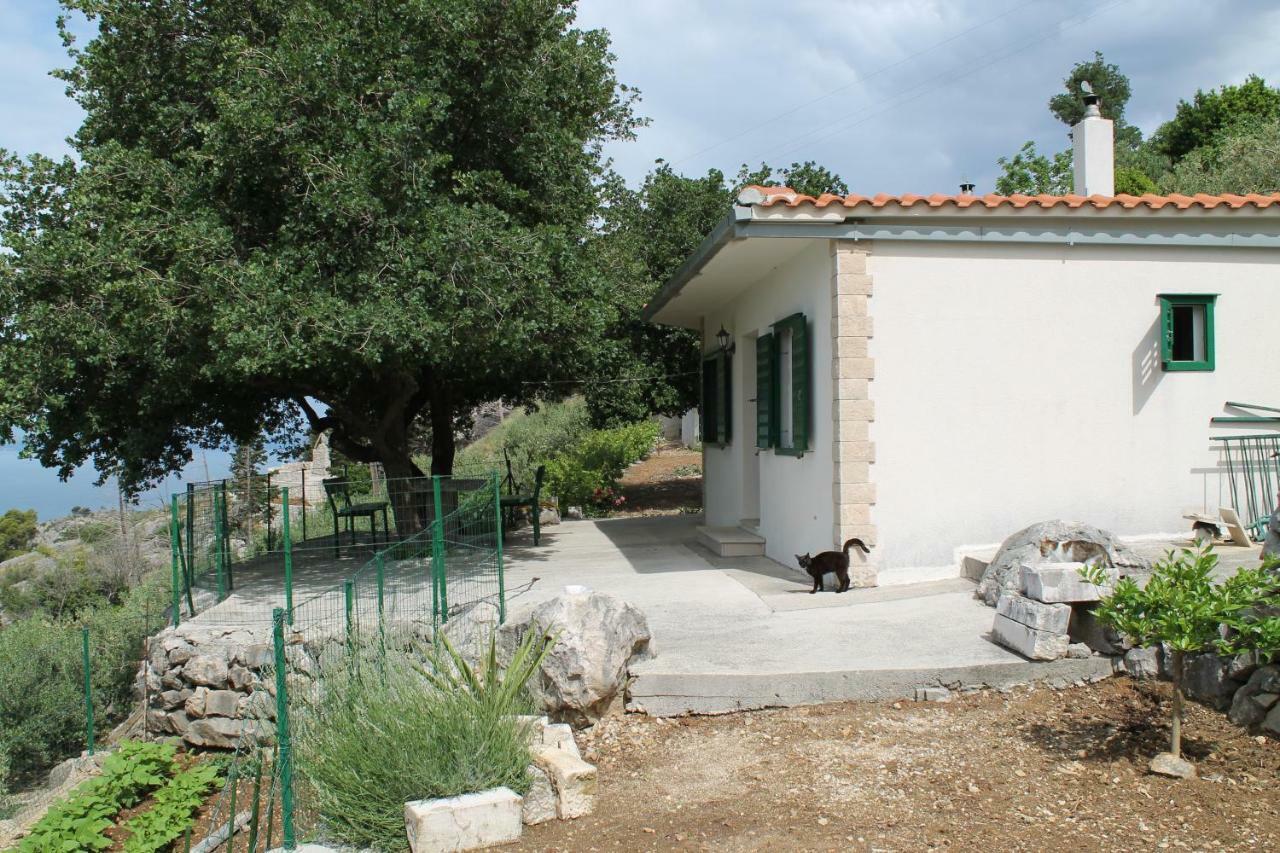Villa " Davorka" Podgora Buitenkant foto