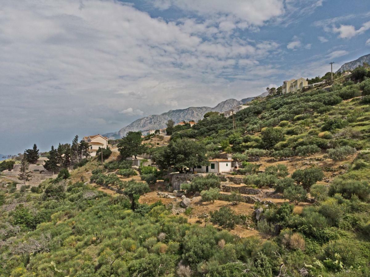 Villa " Davorka" Podgora Buitenkant foto